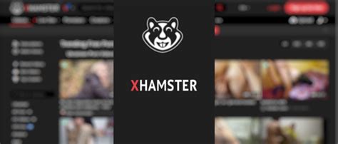 xhamster video runterladen|xHamster Downloader